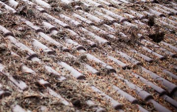 Hartmount roof cleaning companies